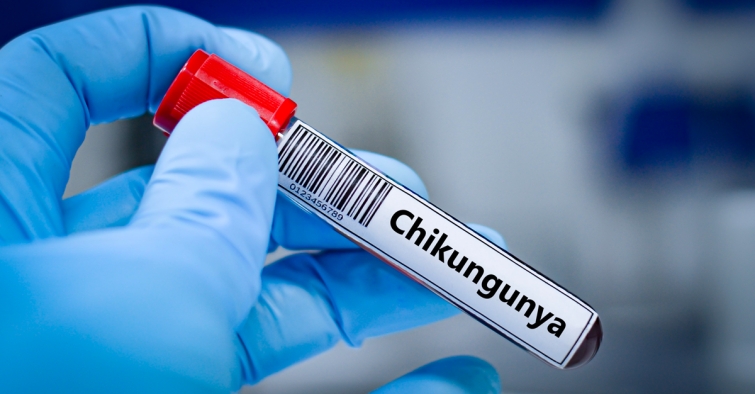 A Vitrolles, cet été, c’est un biologiste qui a boosté la mobilisation de tous les acteurs de la ville contre l’épidémie de chikungunya