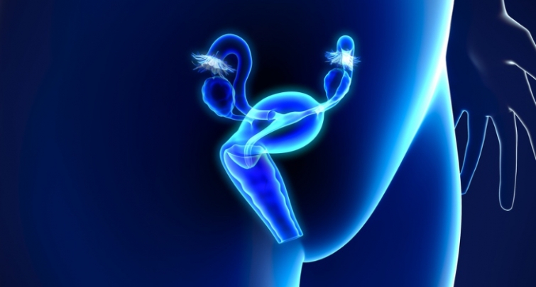 Cancer du col de l'utérus : La publication de l’arrêté HPV met enfin les biologistes médicaux en première ligne