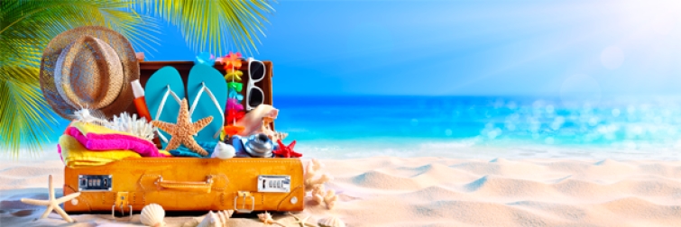 Vie du syndicat.  Les bureaux du SDBIO seront fermés entre le 1er juillet et le 18 aout 2024