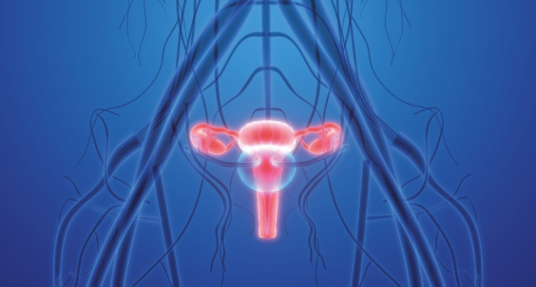 Les enjeux du dépistage du cancer de l'utérus