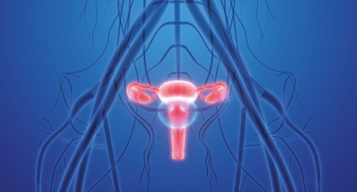 Les enjeux du dépistage du cancer de l'utérus